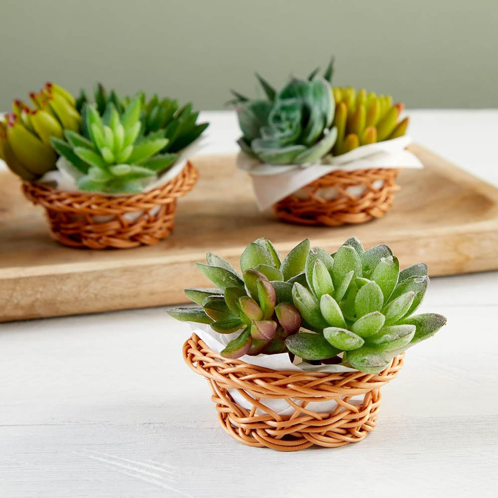 مجموعة سلال منسوجة صغيرة - 3.1 - مراجعة Woven Basket Set وسعره